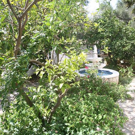 Villa Aphrodite Nissaki Nisaki  外观 照片